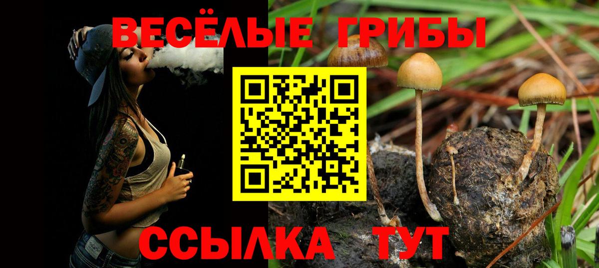 Псилоцибиновые грибы мухоморы Армавир