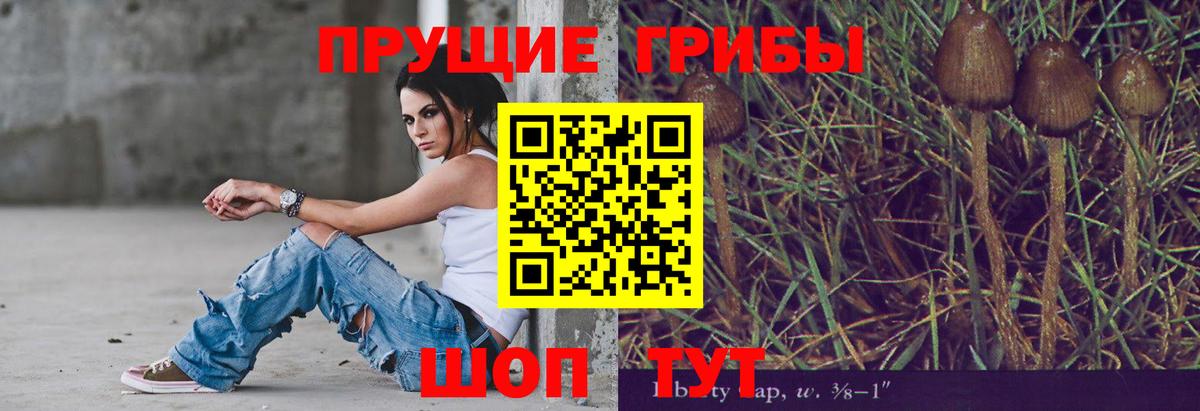 Галлюциногенные грибы MAGIC MUSHROOMS  Вход с VPN  где продают наркотики  Псилоцибиновые грибы мухоморы  Армавир 